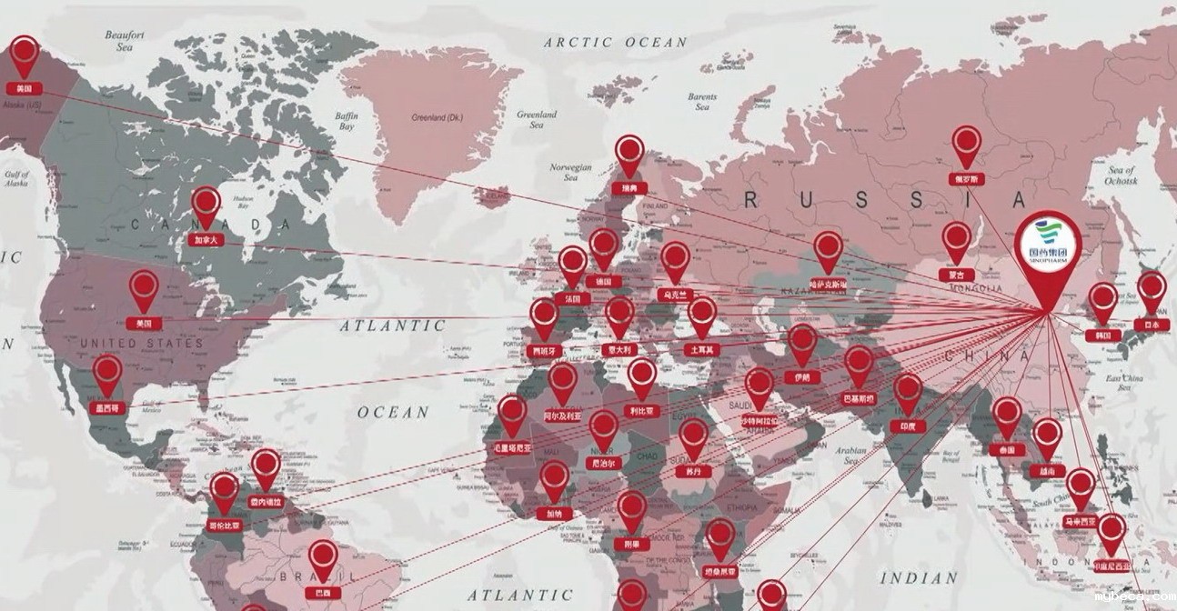 International Business